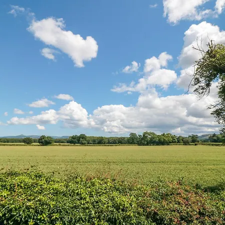 Roseberry 3